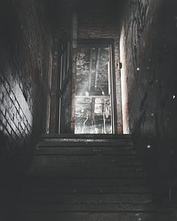 stairs heading for open door, indoors, dungeon, building, room HD wallpaper