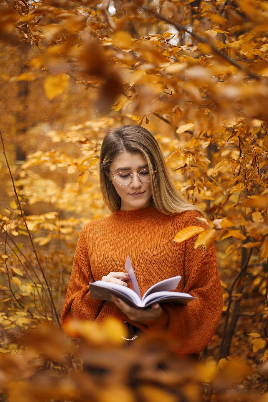 woman in eyeglasses and orange sweater holding book, autumn, reading HD wallpaper