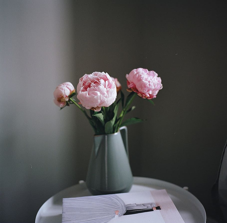 Flowers Shot On Film Photo, Hands, Spring, Drawing, Table, Pink HD wallpaper