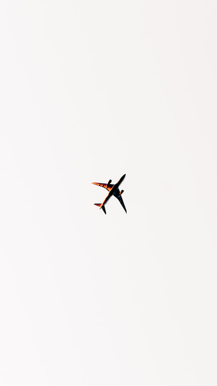 white airliner, one animal, low angle view, copy space, full length HD wallpaper