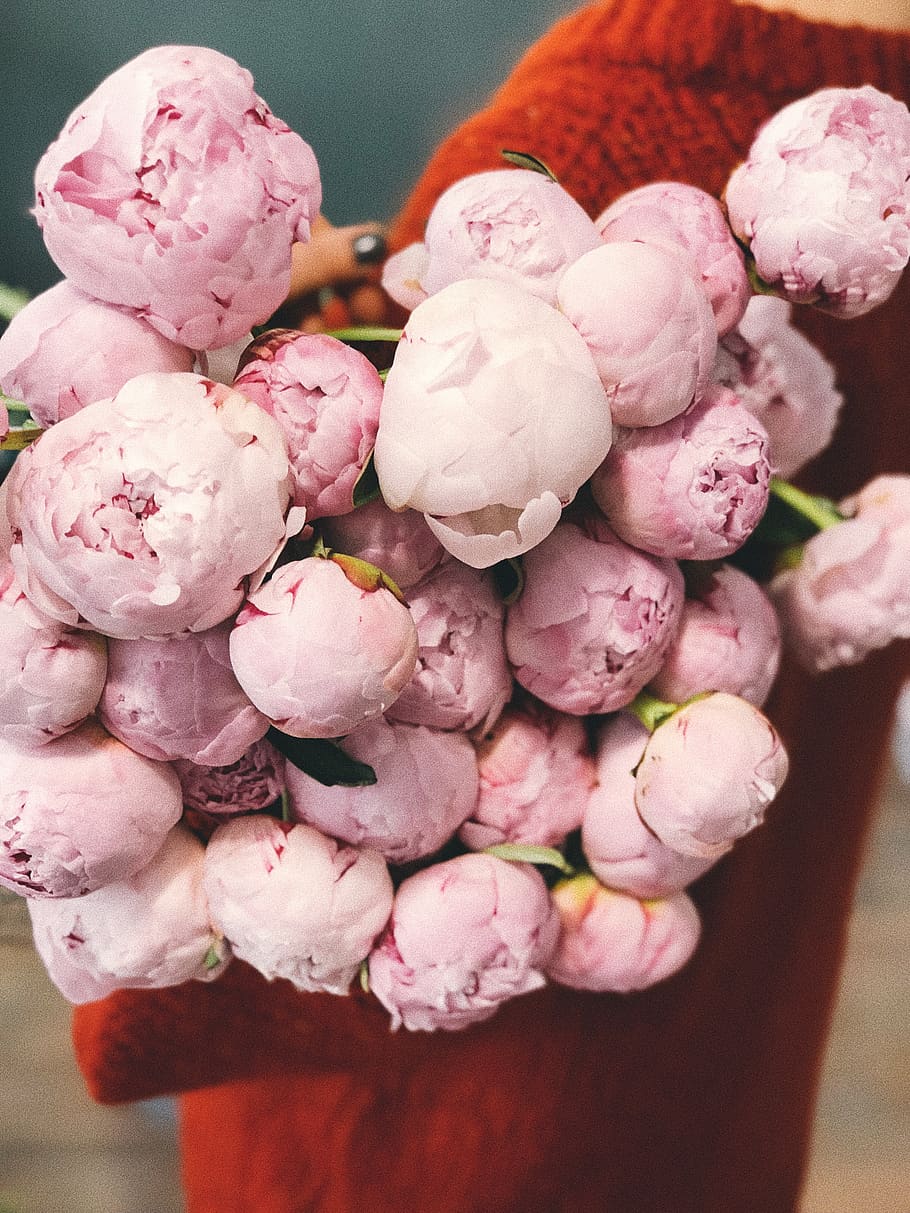 Pink Flower Bouquet, cluster, color, confection, flora, flowers HD wallpaper