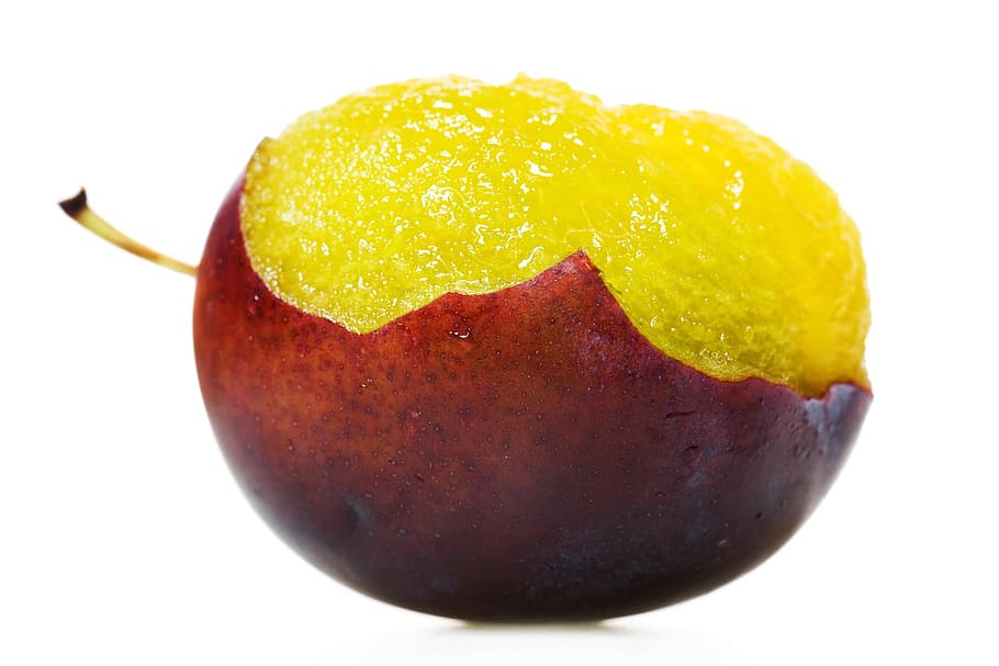 plum, meat, closeup, fruit, isolated, object, plant, white HD wallpaper