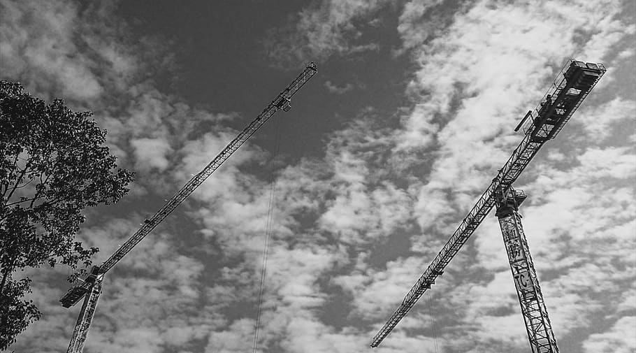 Trees, Cranes, Architecture, Sky, Black and white, Wallpapers HD wallpaper