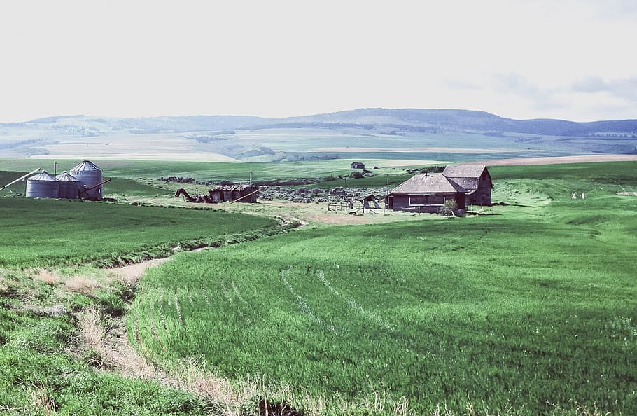 View of Fields with farm houses, clouds, crop, farming, farmland, HD wallpaper