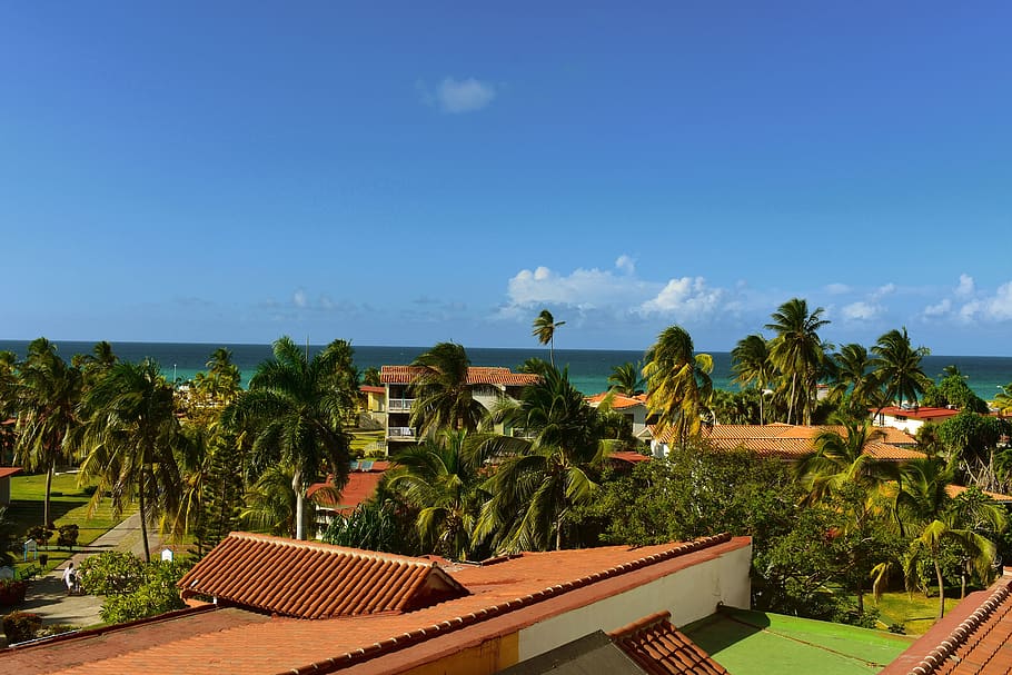 cuba, palm trees, view, hotel, blue, sky, plant, tropical climate HD wallpaper
