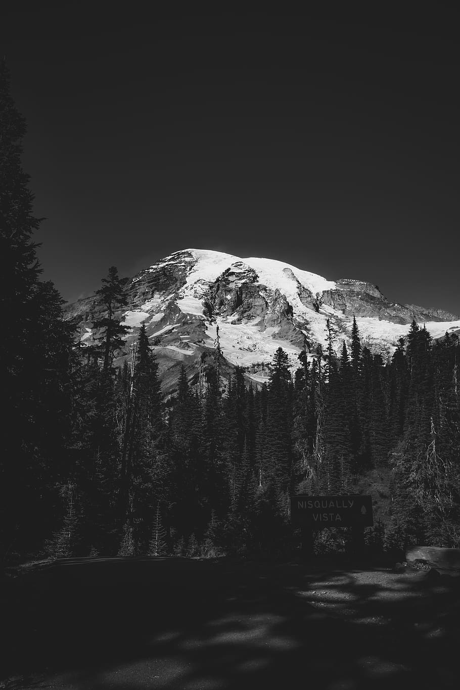 pine trees near mountain, plant, beauty in nature, tranquility HD wallpaper