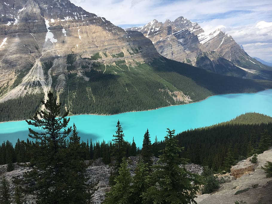 blue river surrounding mountains, forest, tree, aqua, turquoise HD wallpaper