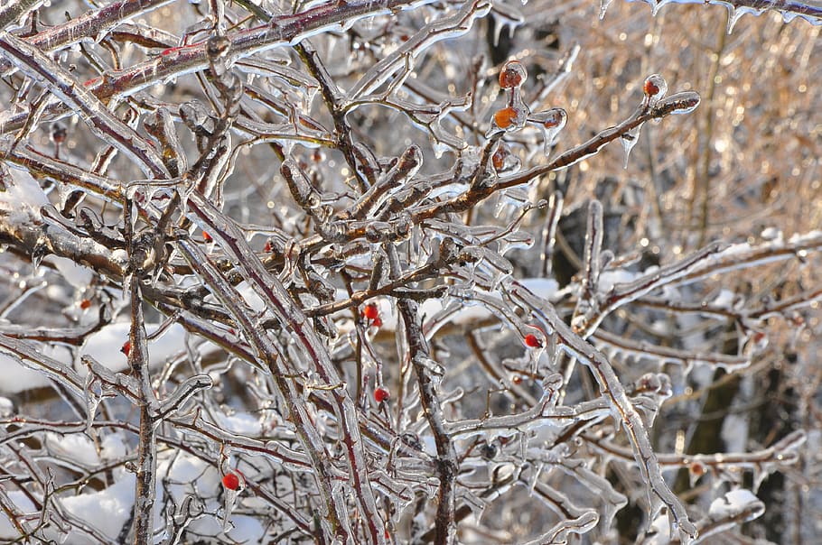 winter, ice, będzin, cold, snow, frost, frozen, landscape HD wallpaper