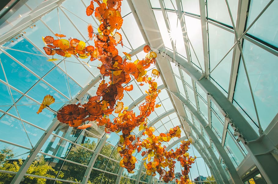 plants inside glass dome, low angle view, built structure, day HD wallpaper