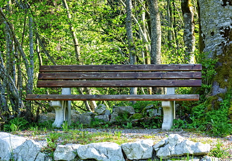 Bench in Park, adventure, daylight, empty, environment, flora HD wallpaper