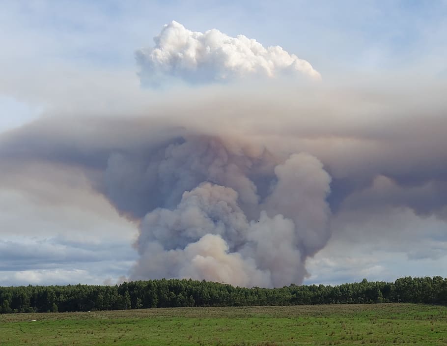 Forest burnoff creates huge mushroom cloud, clouds, fuel, emission HD wallpaper