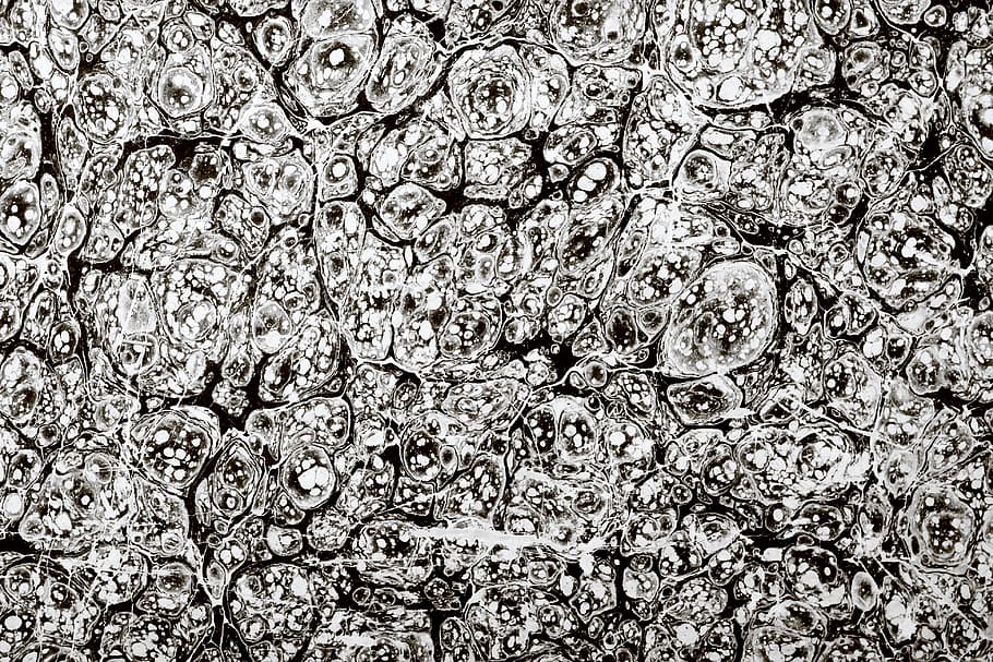 con2011, background, damaged, grunge, paper, wallpaper, full frame HD wallpaper