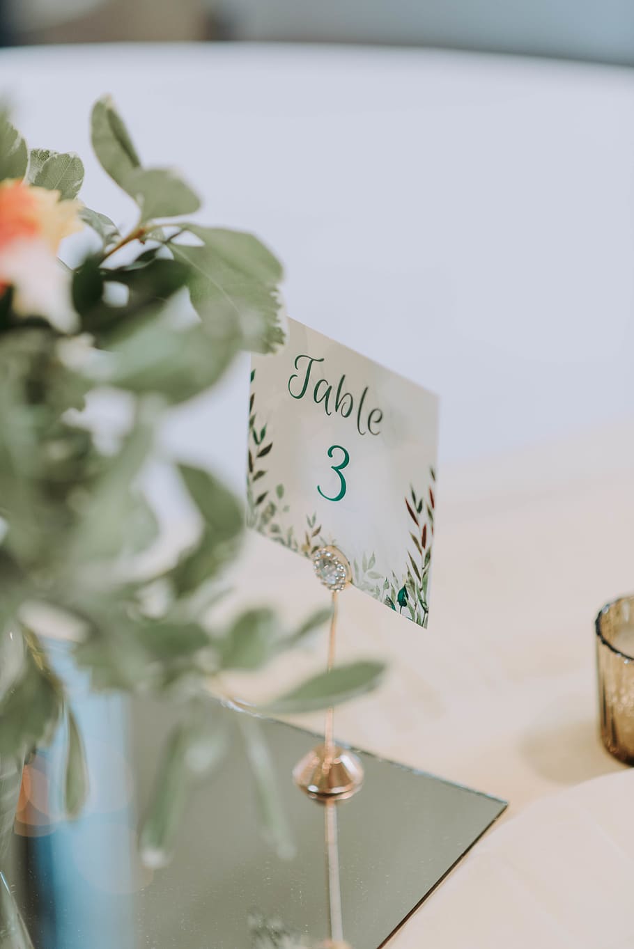 text, western script, communication, plant, no people, selective focus HD wallpaper