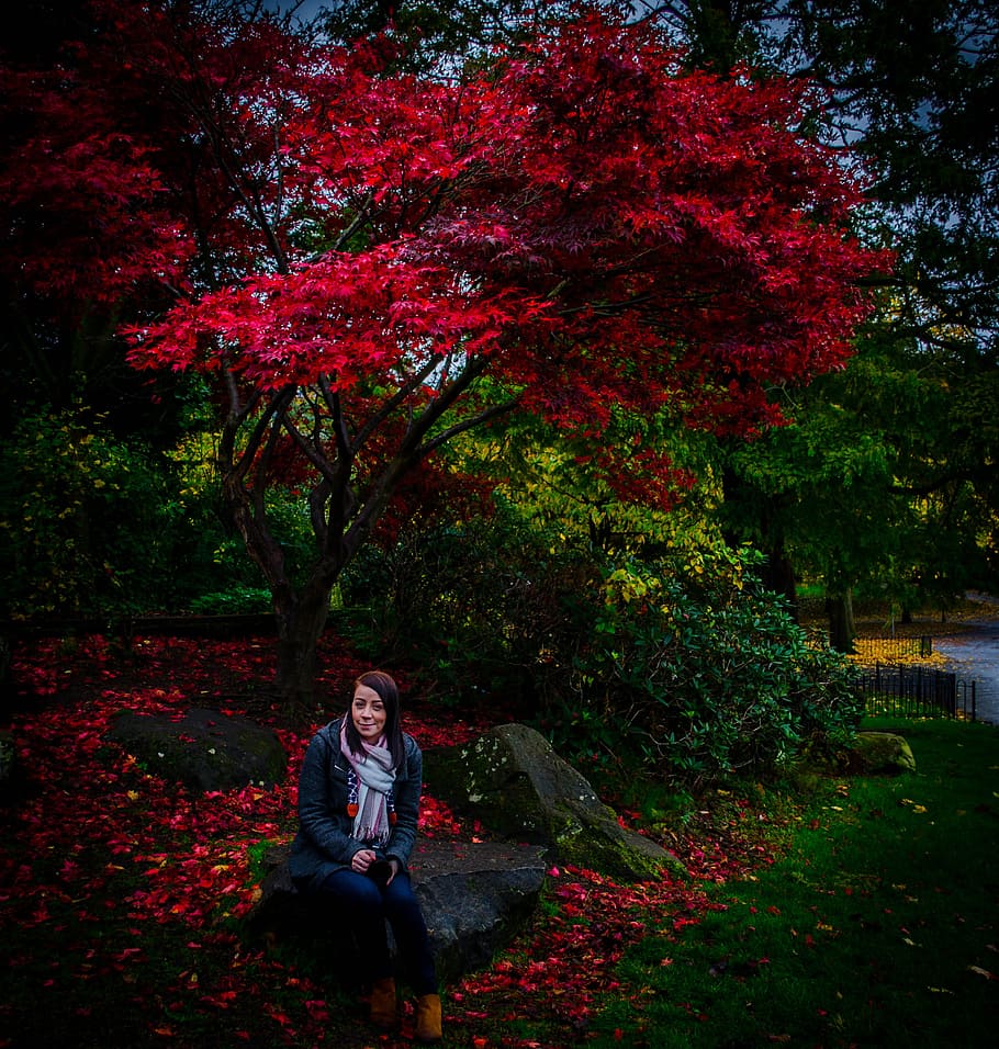 Woman Sitting on Stone Near Tree, branches, bright, colors, daylight HD wallpaper