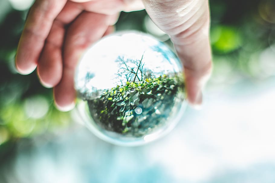 Person Hand, ball-shaped, blur, close-up, daylight, environment HD wallpaper