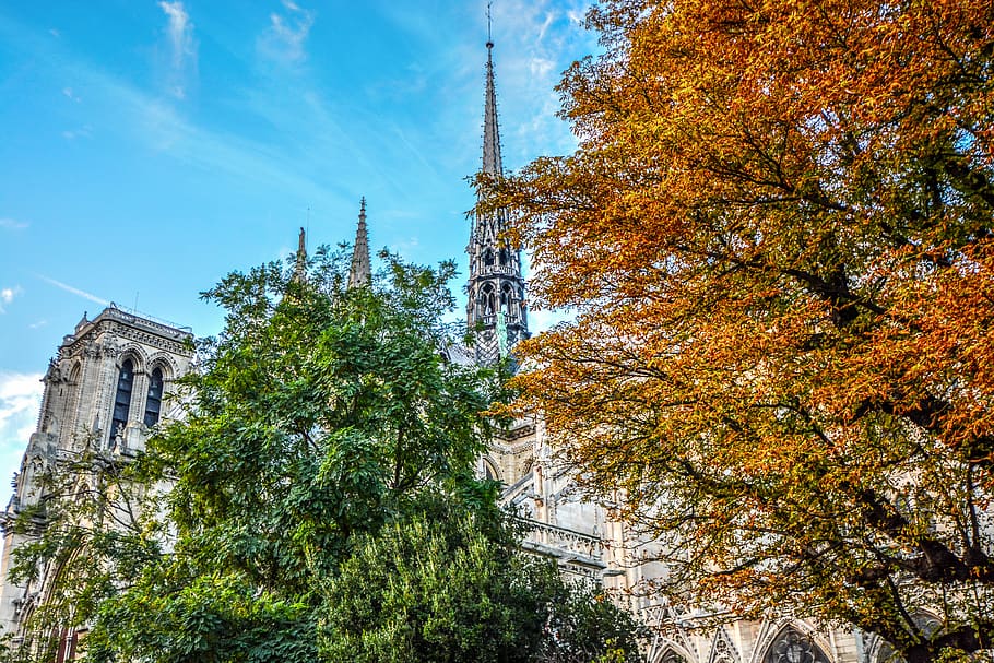 paris, notre dame, cathedral, autumn, fall, colors, spire, gothic, HD wallpaper