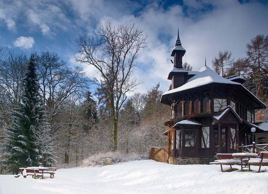 forest, café, park, spa, winter, snow, forest road, nature HD wallpaper