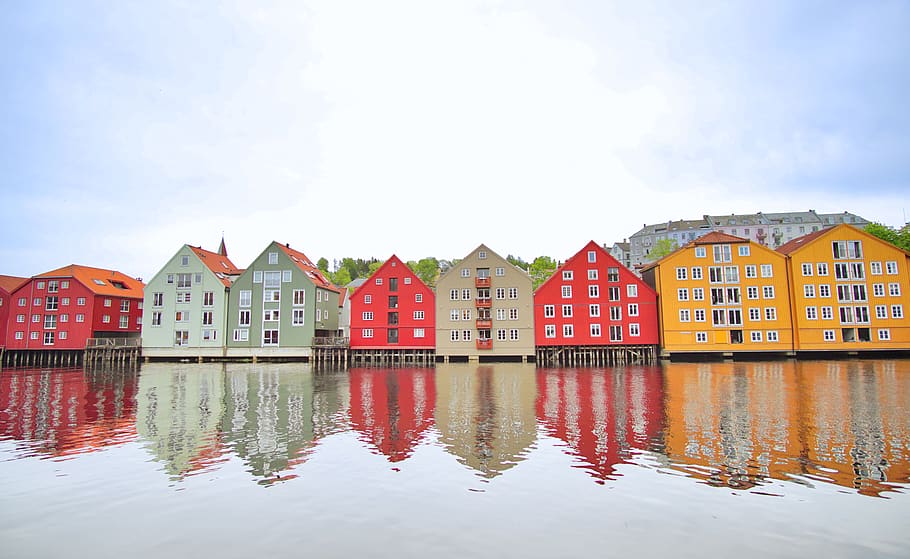 norway, trondheim, wall, walking, river, scandinavian, street HD wallpaper