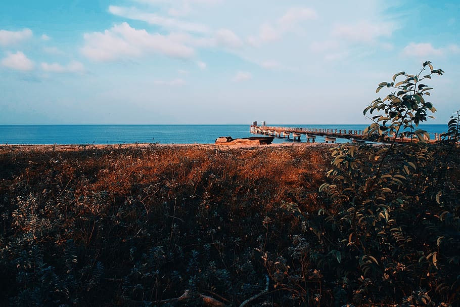Dockyard, beach, clouds, daylight, grass, jetty, landscape, nature HD wallpaper