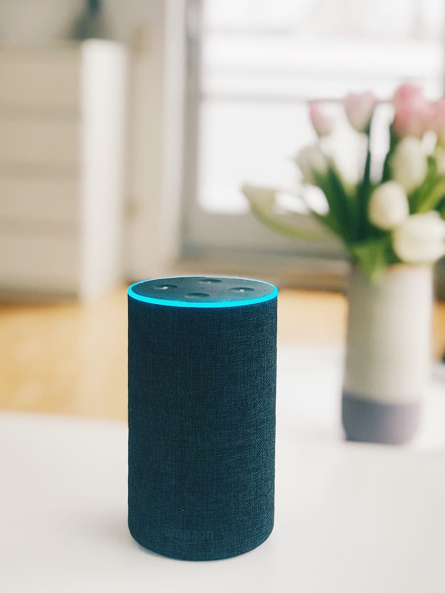 1st gen Amazon Echo speaker, indoors, focus on foreground, table HD wallpaper
