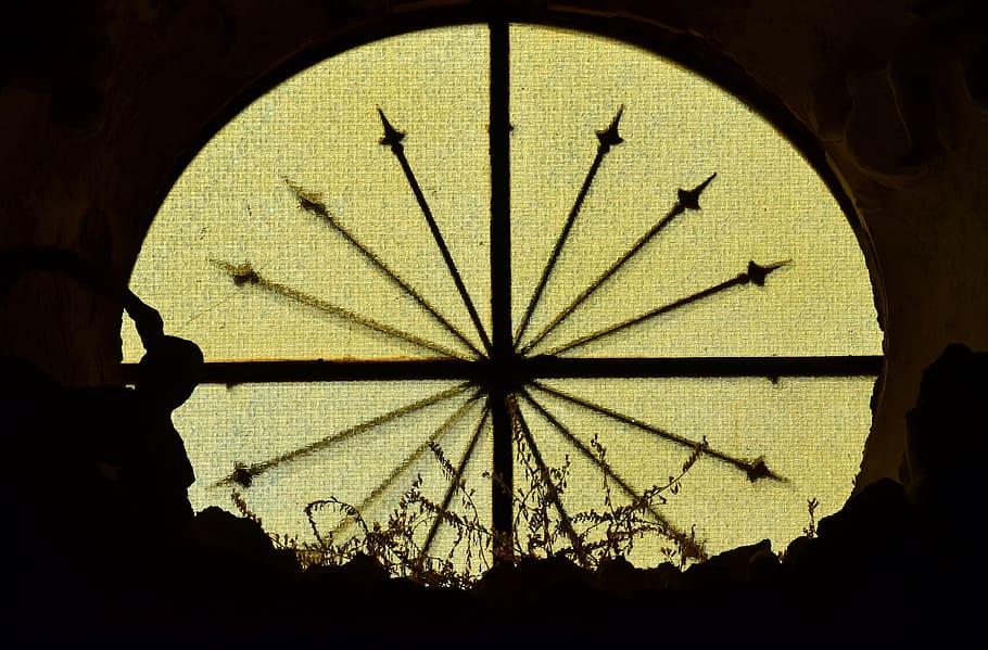 window, round, glass, metal, weathered, plant, architecture HD wallpaper