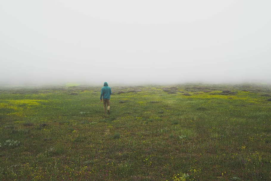 Human field. Печальная погода с лугом. Plant weather.