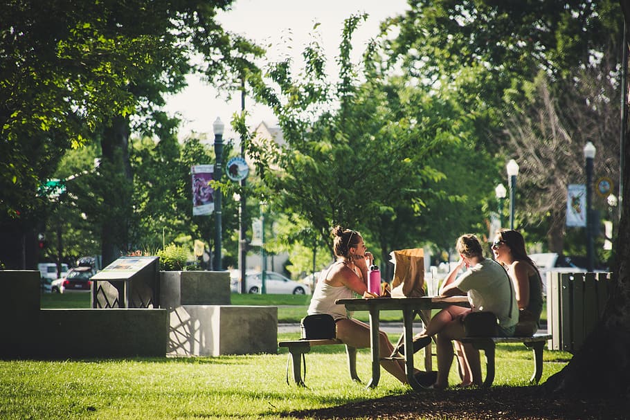 people, friends, women, grass, group, leisure, park, picnic table HD wallpaper
