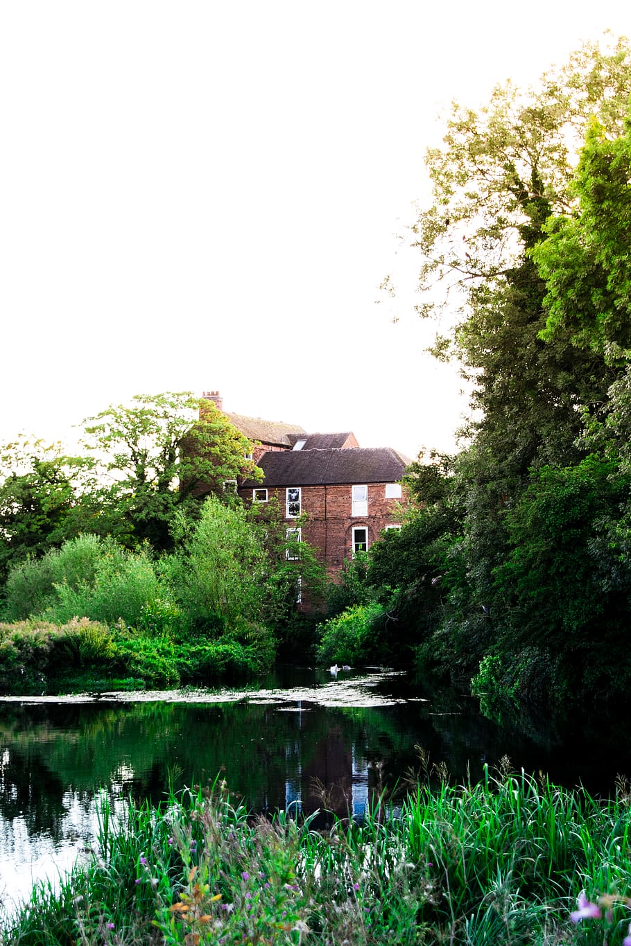 nature, light, dark, shadows, bush, trees, architecture, building HD wallpaper
