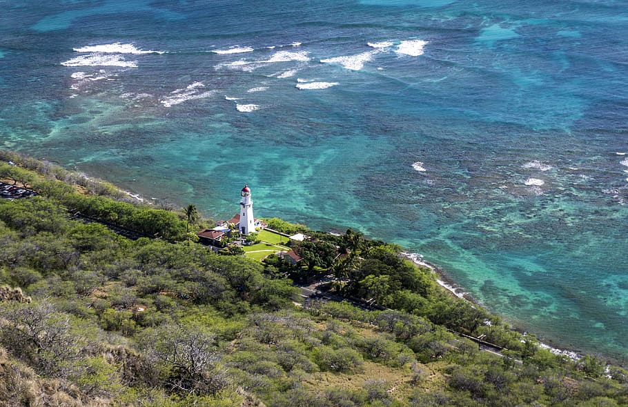 Aerial Photo of White Lighthouse Near Beach and Trees, aerial view