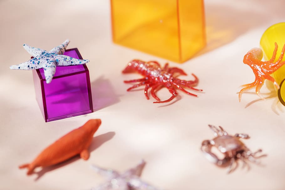 Sea Animal Toys and Glass Boxes on White Surface Close-up Photography HD wallpaper