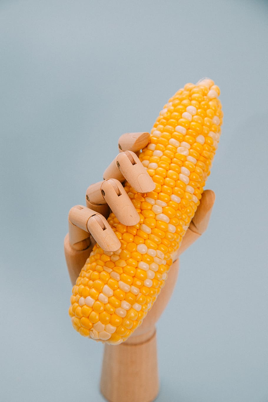 robot hand holding corn, food, grain, flora, vegetable, produce, HD wallpaper