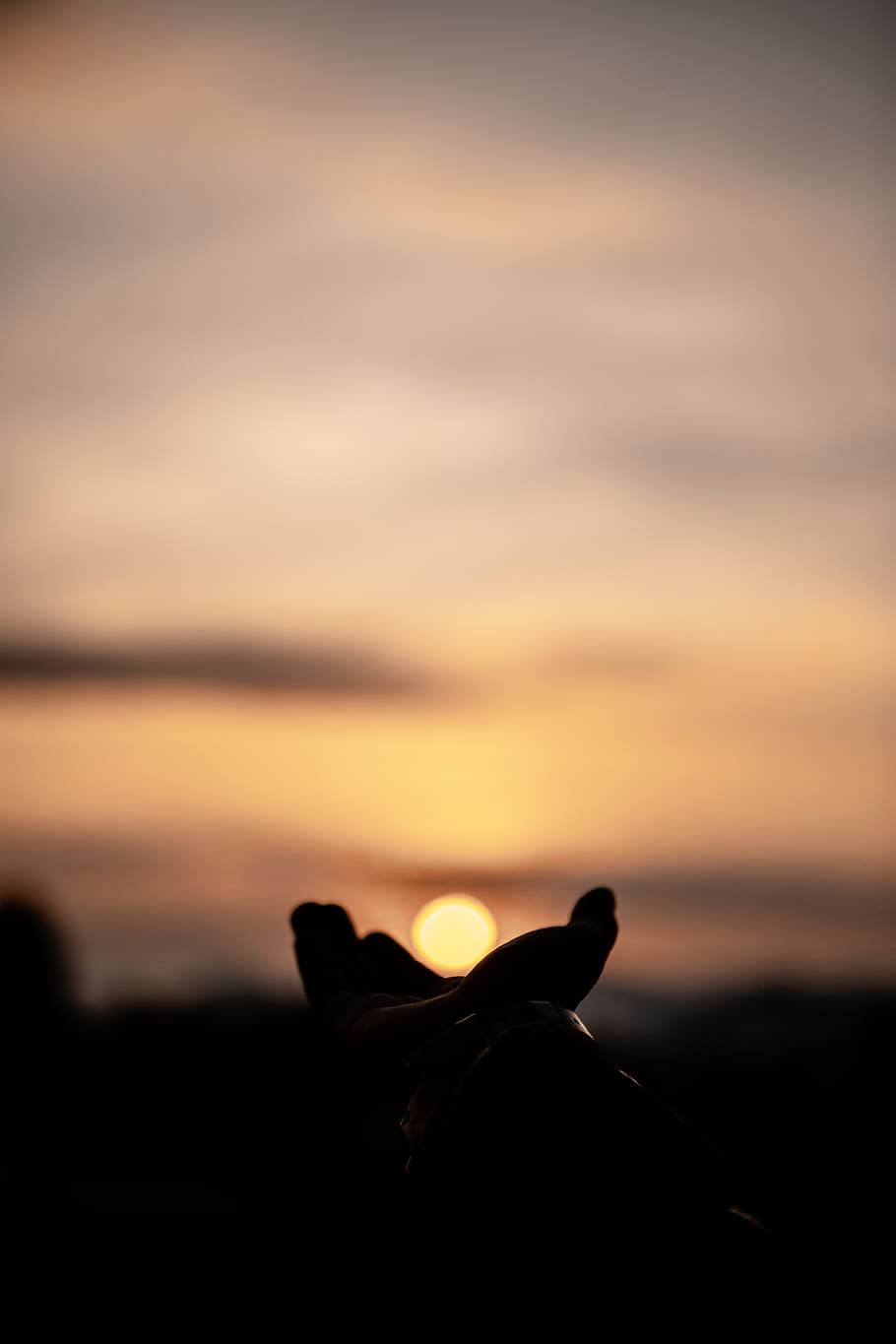 orange sunset, ruhengeri, rwanda, silhouette, sunlight, animal HD wallpaper
