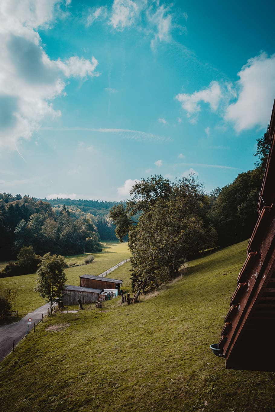 green leafed trees during daytime, road, building, forest, killwangen HD wallpaper