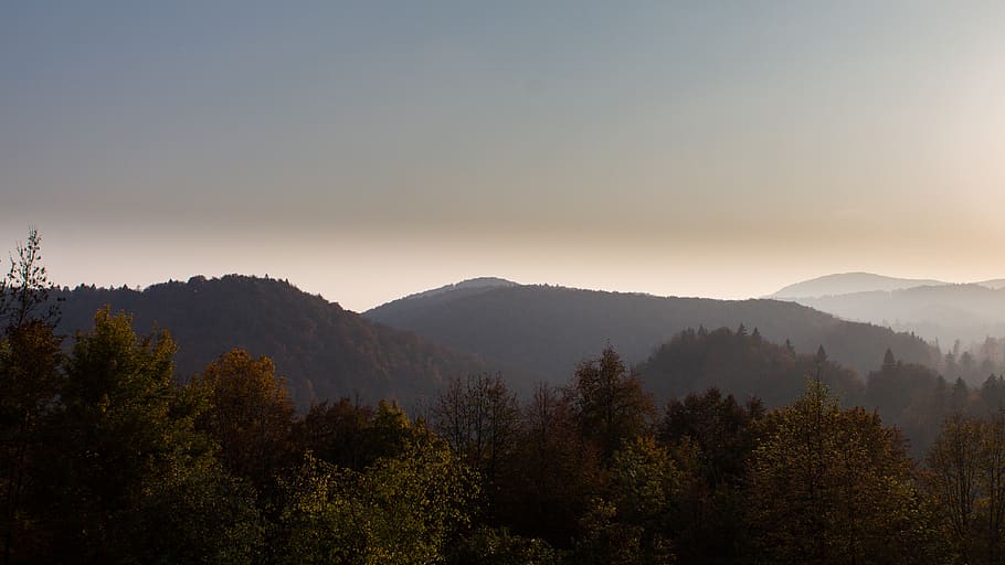 croatia, gerovo, gorski kotar, tree, scenics - nature, mountain