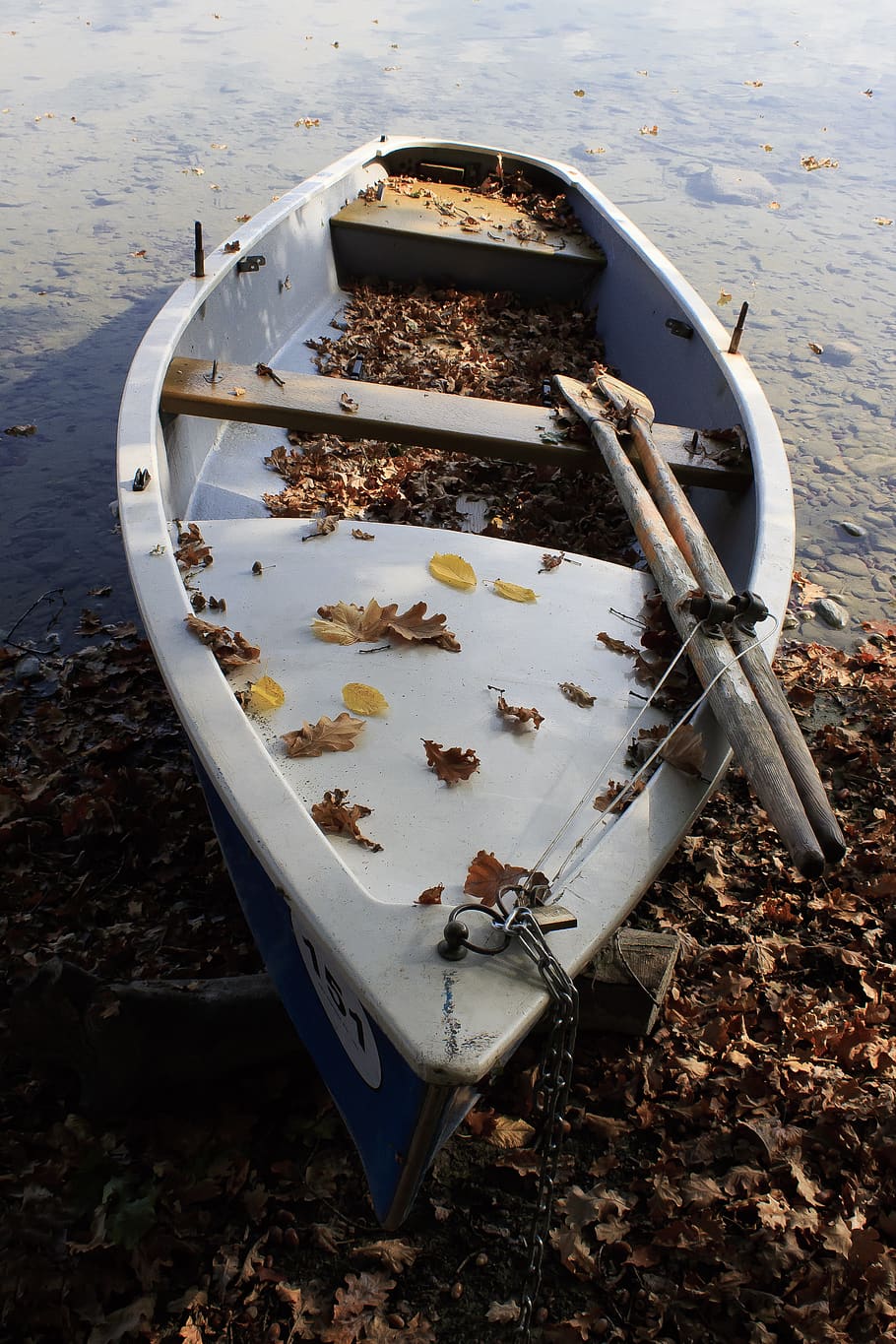 boat, paddle boat, leaves, fall foliage, water, nature, lake.