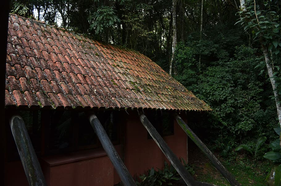 roof, plant, tree, no people, architecture, nature, built structure HD wallpaper