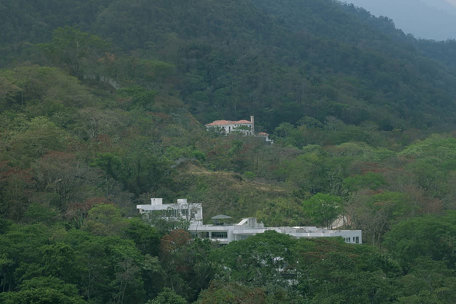trees, forest, house, home, pine, honduras, sanpedrosula, bosque HD wallpaper