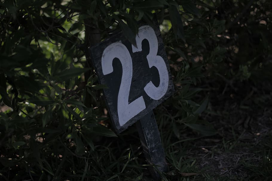 Number garden