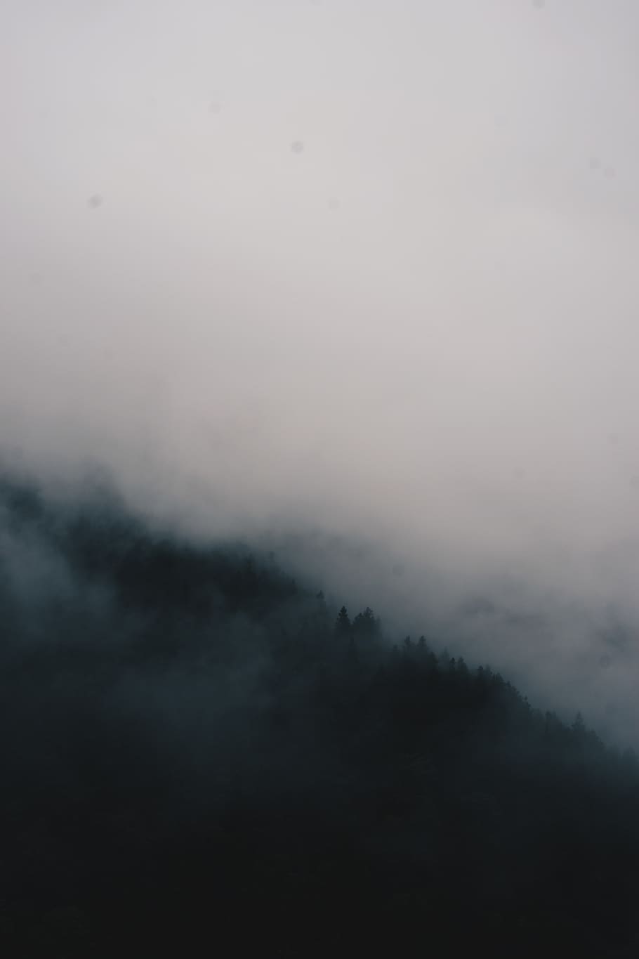 taiwan, trees, landscape, mist, clouds, weather, mountain, fog HD wallpaper
