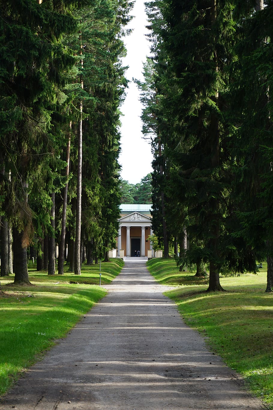 temple, forest, track, path, architecture, trees, plant, direction HD wallpaper