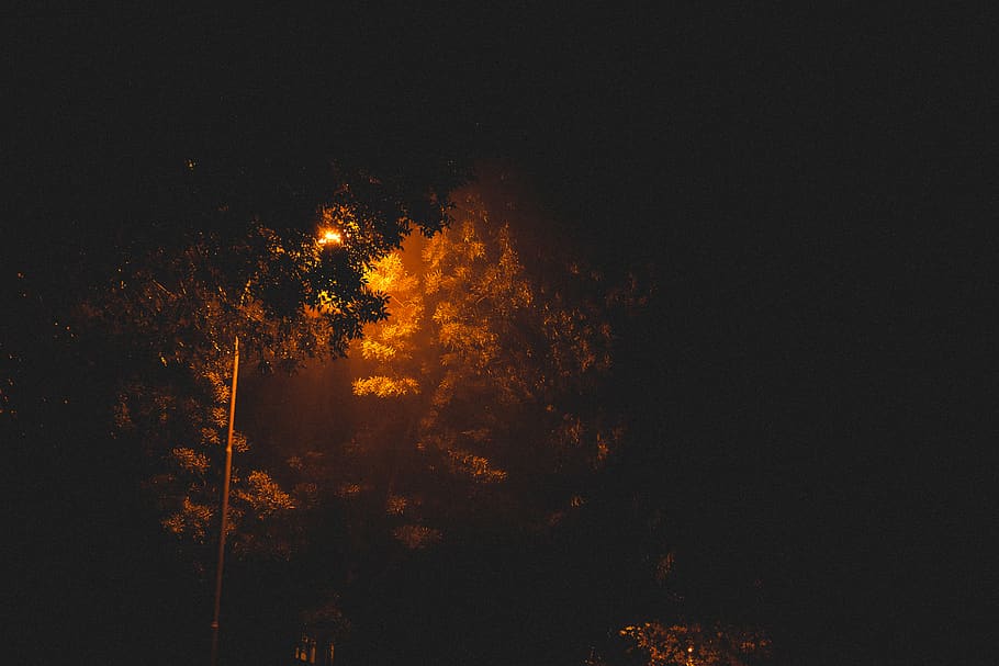 low light photography of turned-on lamp post, flare, nature, outdoors