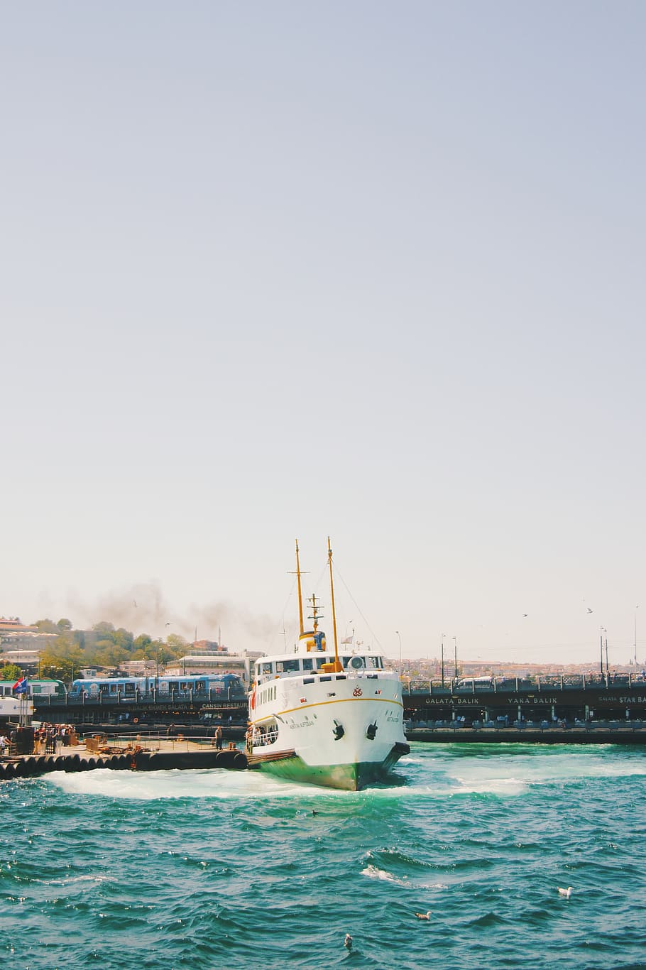 turkey, istanbul, vacation, travel, bosphorus, boat, ship, seagulls, HD wallpaper