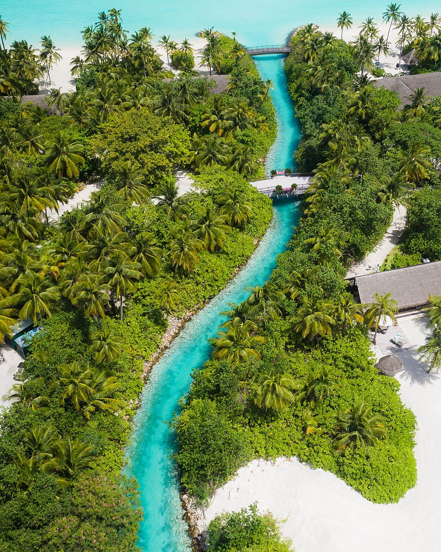 water between trees, canal, luxury, tropical, maldives, vacation, HD wallpaper