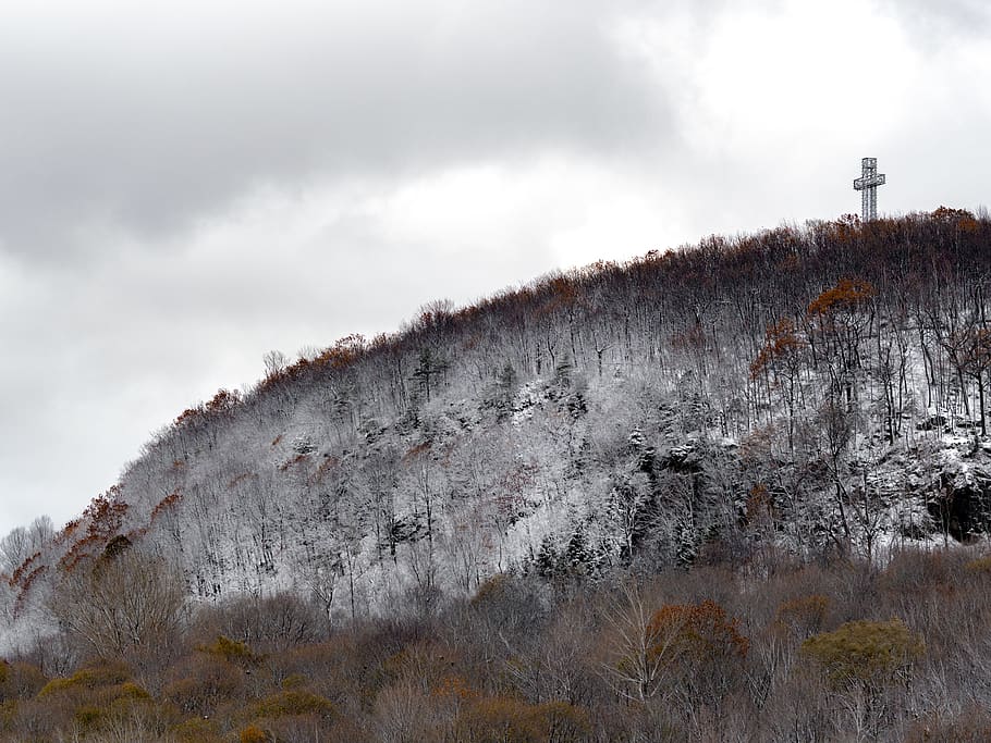 trees, winter, snow, brush, gray, cross, overcast, cloud - sky HD wallpaper