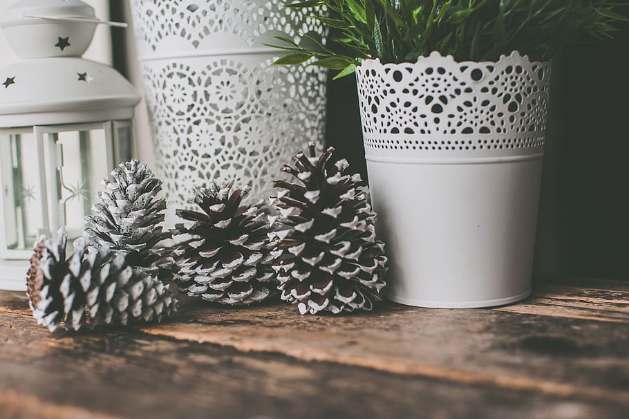 Photo of Pine Cones Near White Vase, background, blur, close-up HD wallpaper