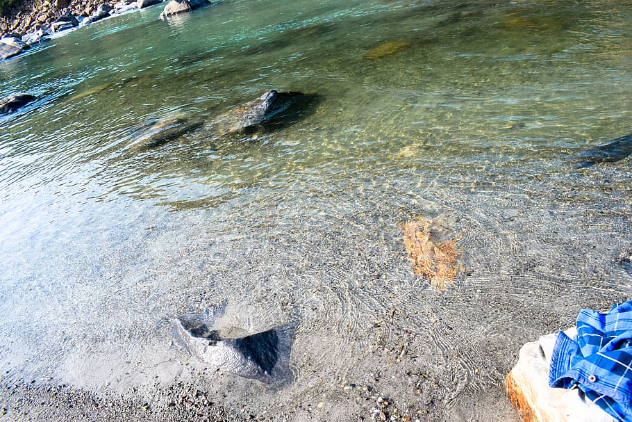 india, rishikesh, rocks, river, ganga, sand, water, uttrakhand HD wallpaper