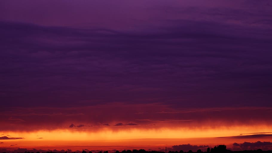 Silhouette of Trees Under Dark Sky during Dusk, backlit, color HD wallpaper