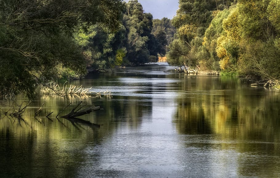 river, landscape, nature, water, wood, forest, waters, lying HD wallpaper