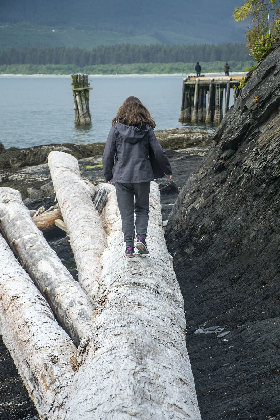 driftwood, walking, rocks, beach, sea, canada, water, rear view HD wallpaper