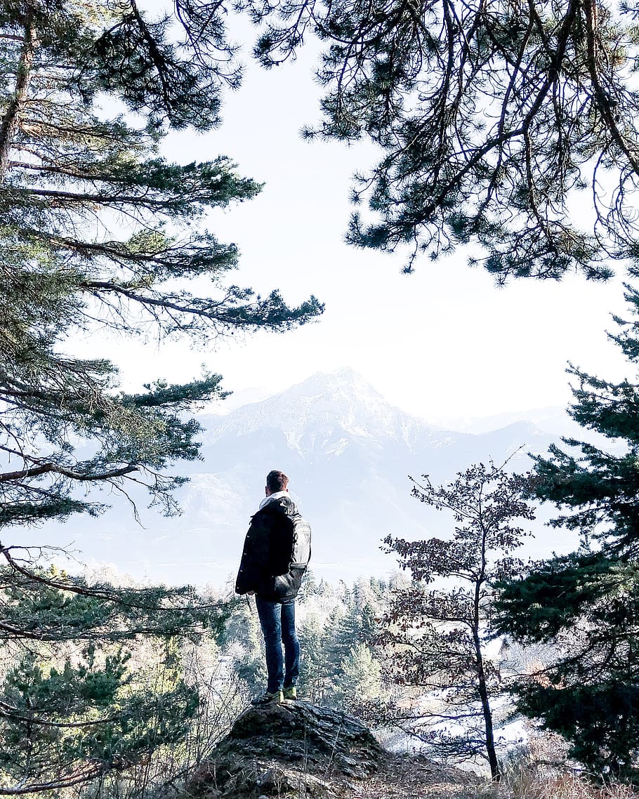 man standing on cliff beside trees, one person, lifestyles, plant HD wallpaper
